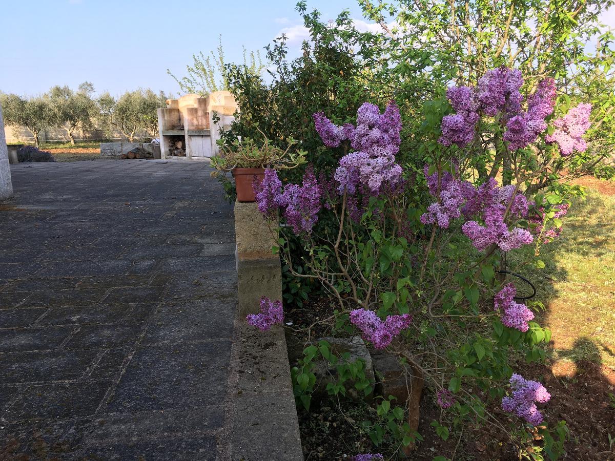 Corte Dei Salentini Carpignano Salentino Luaran gambar